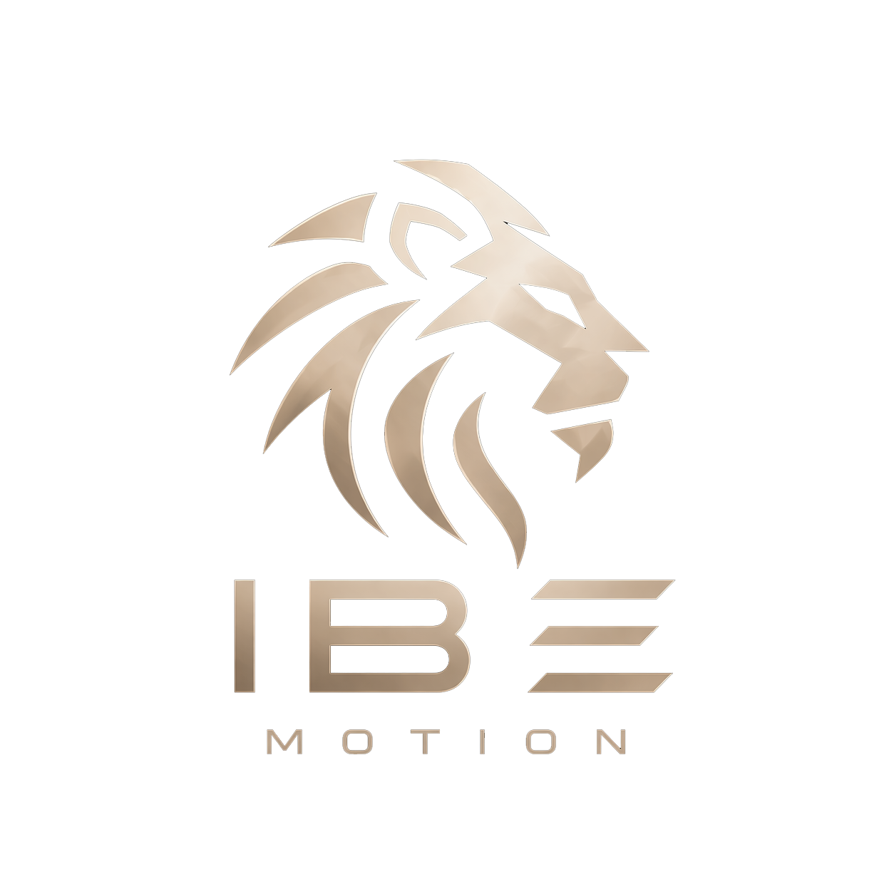 IBE Motion Studio